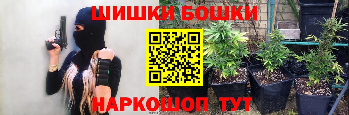 Конопля сатива Южноуральск